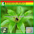 aesculus hippocastanum extract 20% aescin